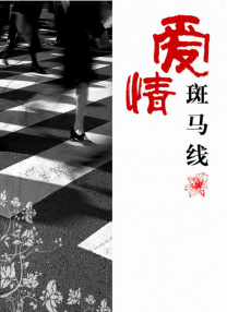 老湿机视频